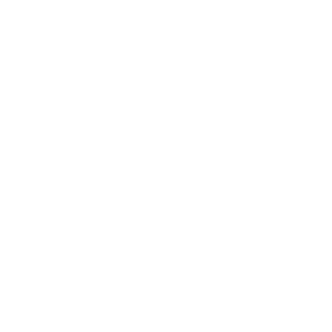 Schulich Logo