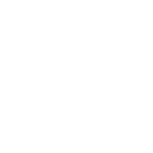 University of Massachusetts Logo